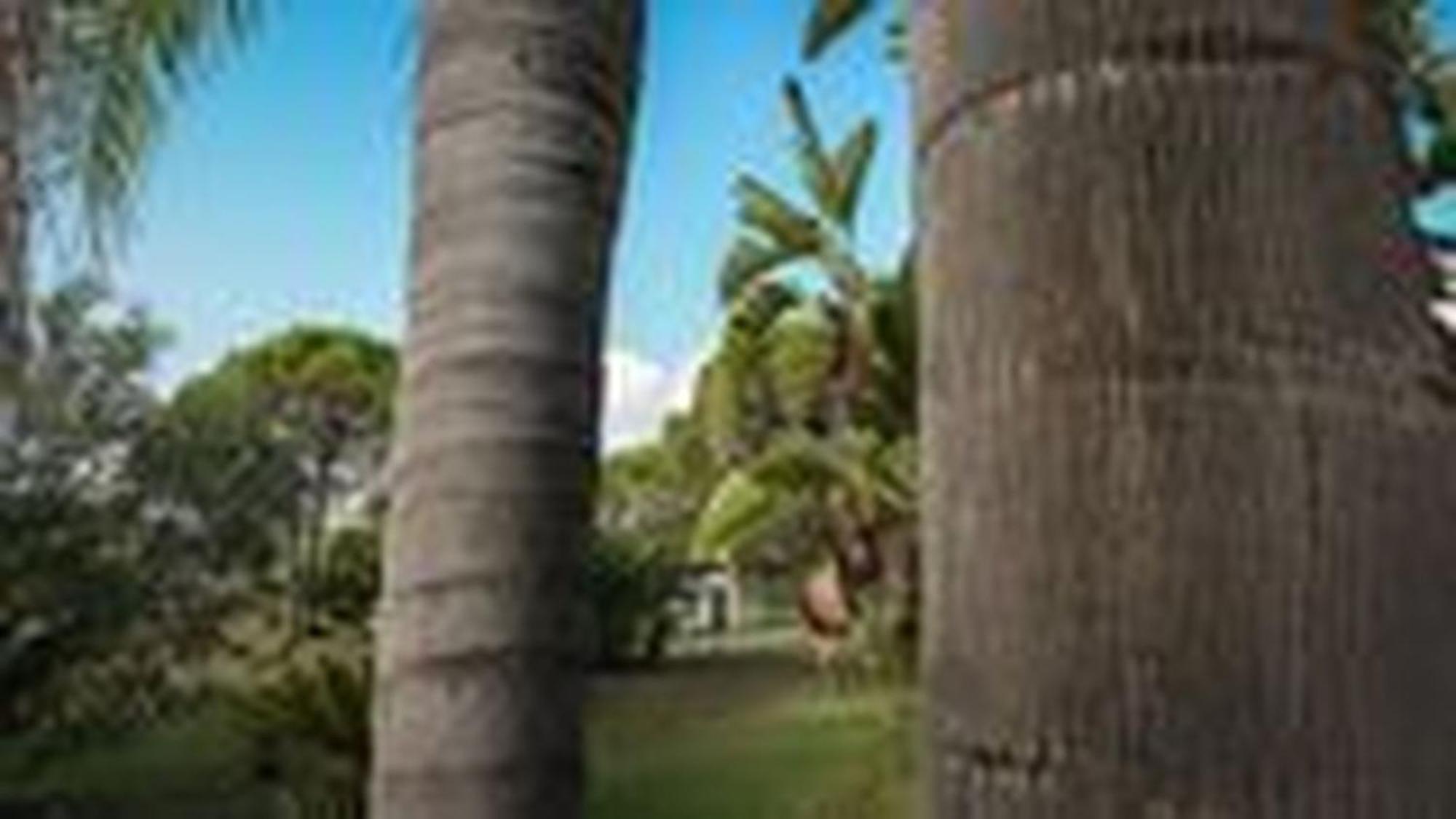 Welcomely - Villa Adele Costa Rei Exterior photo